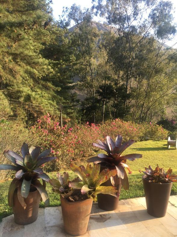 Nosso Sitio - Rancho Santa Clara Itaipava Villa Petrópolis Екстериор снимка